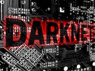 Darknet Marketplaces: An Inside Look at the Underground Economy